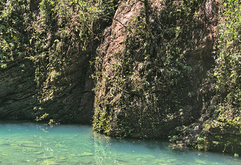 鹤峰屏山旅游景区第 97 张图片