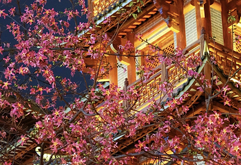 大佛古寺第 33 张图片