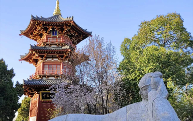 兴庆宫公园第 27 张图片