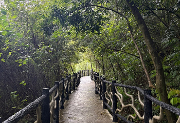 阳朔如意峰索道景区第 195 张图片