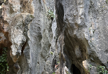 石林风景区第 259 张图片