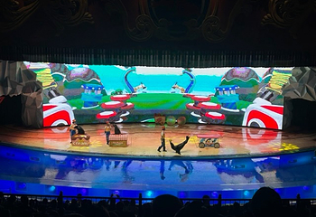 上海海昌海洋公园第 416 张图片