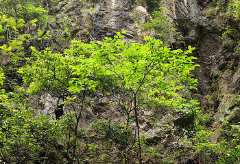 黑山谷风景区第 26 张图片