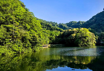 青城山第 60 张图片