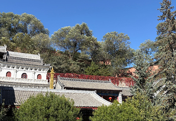 五台山第 105 张图片