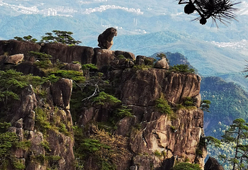 黄山风景区第 305 张图片