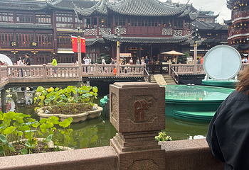 豫园第 316 张图片
