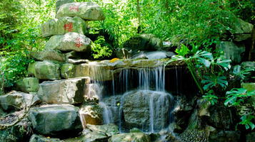 天籁蝴蝶泉-瀑布