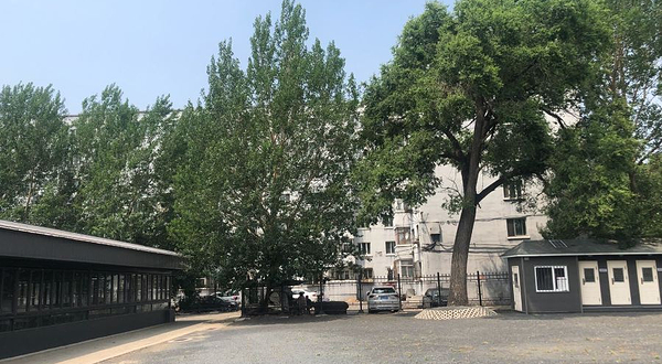 谢罪与不战和平之碑