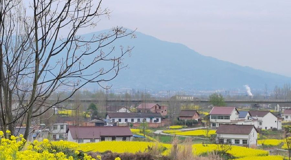 汉中陈村观桃花点