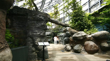 世界淡水鱼水族馆 Aqua Toto 岐阜第 1 张图片