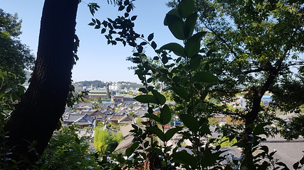 梧木台第 36 张图片