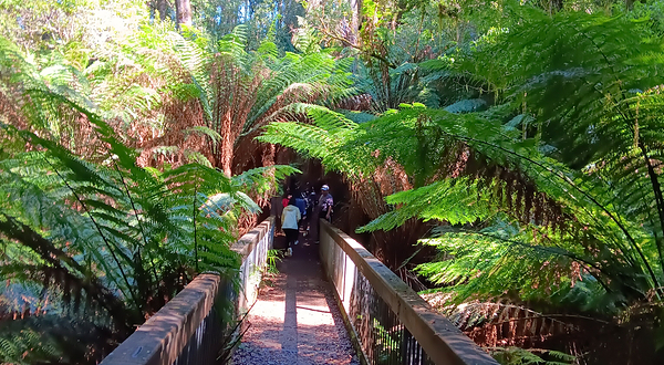 Melba Gully National Park