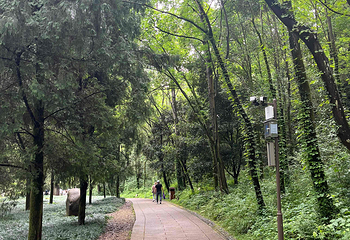 缙云仙都景区第 57 张图片