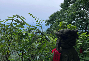 青城山第 310 张图片