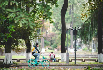 四川大学(望江校区)第 63 张图片