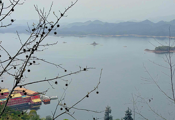 天屿山观景台第 84 张图片