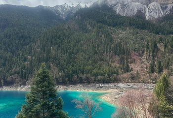 九寨沟风景区第 419 张图片