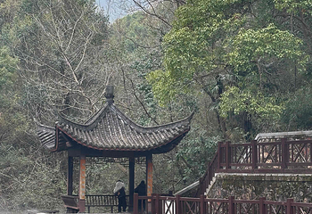 敬亭山第 59 张图片
