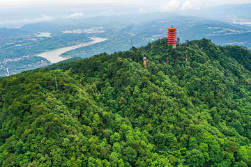 缙云山第 8 张图片