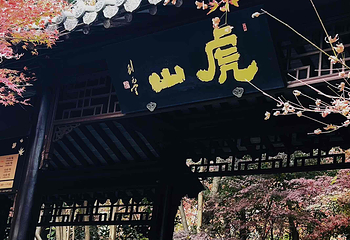 栖霞山第 71 张图片