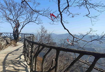 天门山国家森林公园第 322 张图片