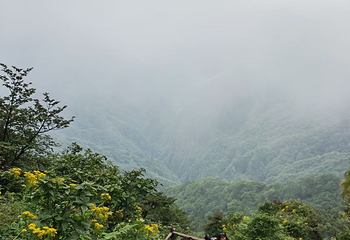 梵净山第 260 张图片