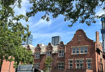 多伦多大学第 90 张图片