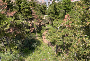 宁夏贺兰山国家森林公园第 54 张图片