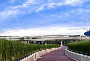 西安浐灞国家湿地公园第 55 张图片