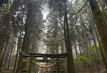 上色见熊野座神社第 37 张图片