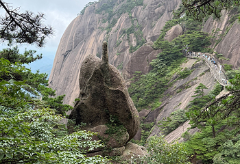 黄山风景区第 241 张图片