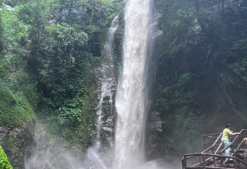 莫里热带雨林景区第 28 张图片