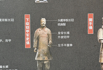 秦始皇帝陵博物院(兵马俑)第 588 张图片