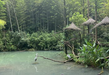 湖州长颈鹿庄园第 64 张图片