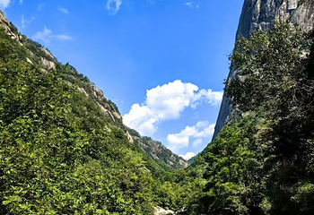鄣山大峡谷第 11 张图片