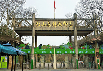 红山森林动物园第 84 张图片