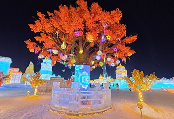 哈尔滨冰雪大世界第 132 张图片