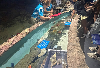 凯恩斯水族馆第 69 张图片