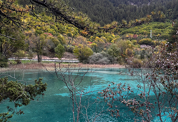 九寨沟风景区第 781 张图片