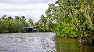 Nanamun Firefly Jetty