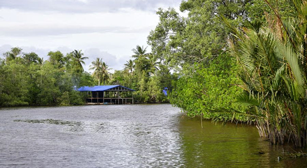 Nanamun Firefly Jetty
