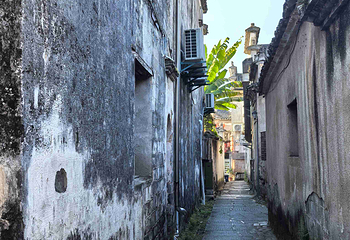 宏村景区第 547 张图片