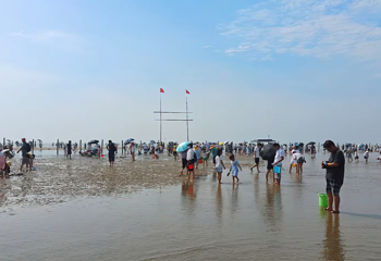 刘家湾赶海园第 39 张图片