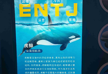 上海海洋水族馆第 185 张图片