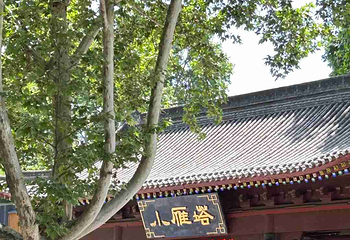 小雁塔遗址公园第 73 张图片