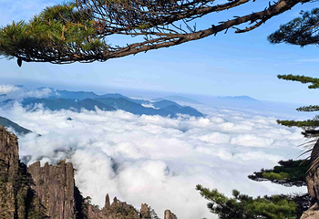 黄山风景区第 78 张图片