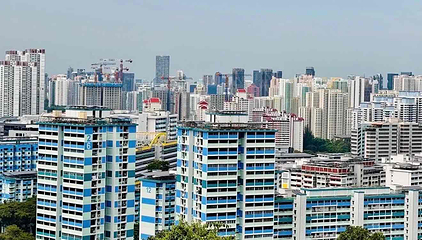 花柏山公园第 72 张图片