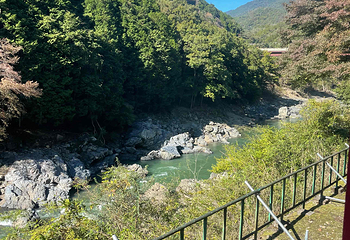 岚山嵯峨野观光小火车第 29 张图片