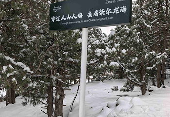 祁连山冰沟河景区第 101 张图片